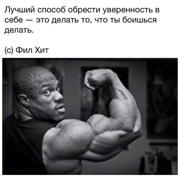 SportFeed - 8  2018  02:44