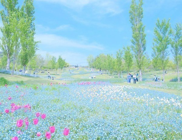 Красота природы безгранична. - 2