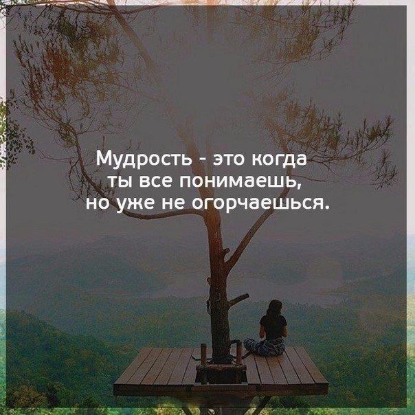   - 20  2017  03:41