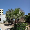 #tunis #Sousse # # # #    2018
