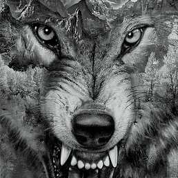 ���� �����, ����, 46 ��� - ��������� 14 ������ 2018