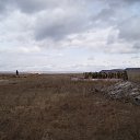  ,  -  22  2018   321 