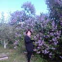 ���� �����, ������������, 48 ��� - ��������� 21 ���� 2018 � ������ ���� ����������