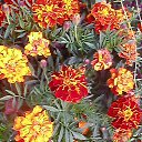 ���� ��������, ������� ��������, 68 ��� - ��������� 27 ����� 2018 � ������ ���� ����������