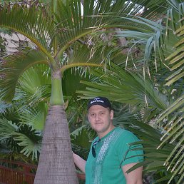 �������, ������ ��������, 56 ���