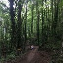 ���� �-��-��-�-�, ����� - ��������� 24 ���� 2018 � ������ �2018�