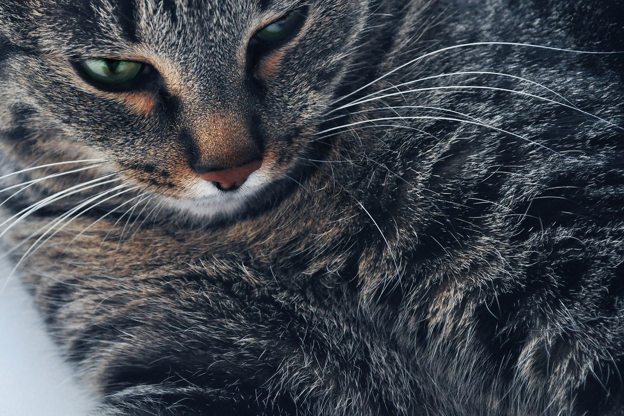  -  - 11  2018  02:35