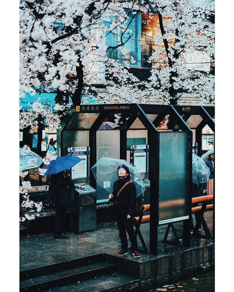 Japan - 9