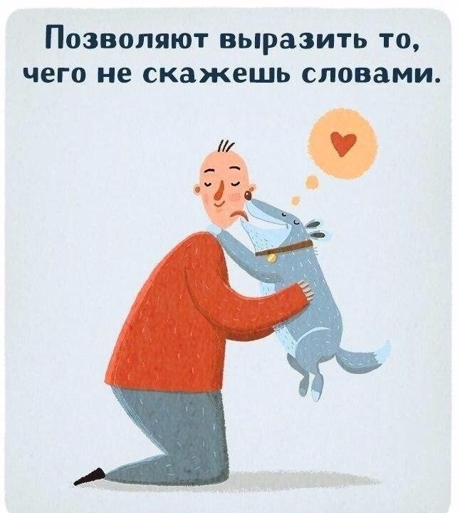 ...���������...����...��� - 8