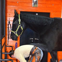Ivan, ������, 36 ���