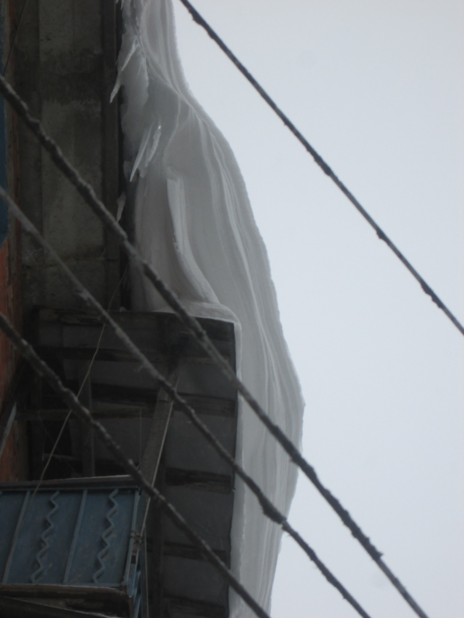 ˸  - 5  2018  09:19