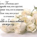 ���� ������, ������, 61 ��� - ��������� 25 ������ 2017 � ������ ���� ����������