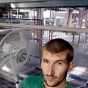 ���� ���������, ��������, 34 ���� - ��������� 28 ������ 2018 � ������ ���� ����������