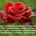 ���� �������, ������, 57 ��� - ��������� 12 ���� 2018 � ������ ���� ����������