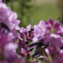  , , 68  -  23  2018    2018