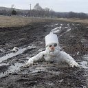 ������� � ������ - �� �� ���!)) �� ������� ������ ��������