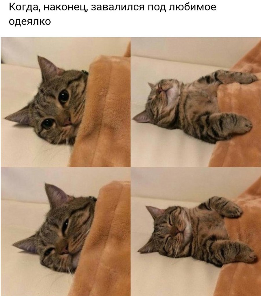   - 11  2018  03:40