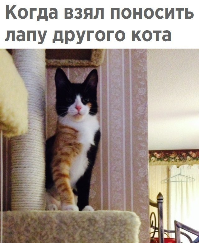  - 2  2018  02:39