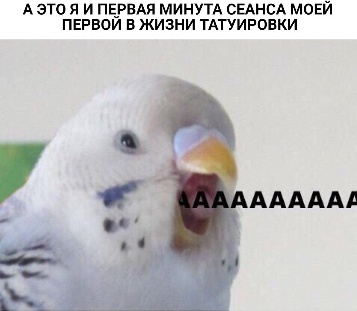 ,    - 27  2018  02:54