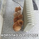 ���� ����, ������� - ��������� 17 ������ 2018 � ������ ������ ��������