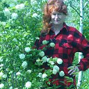 ���� �������, ������ - ��������� 1 ����� 2018 � ������ ���� ����������