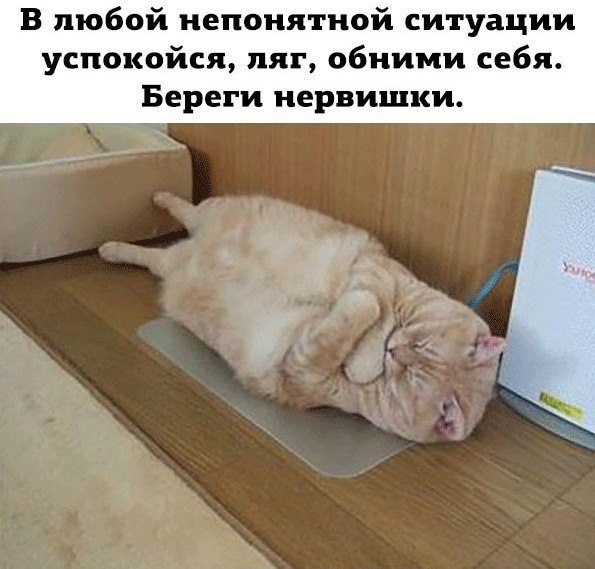  !