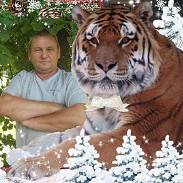 ���� ������, ������, 62 ���� - ��������� 30 ����� 2018