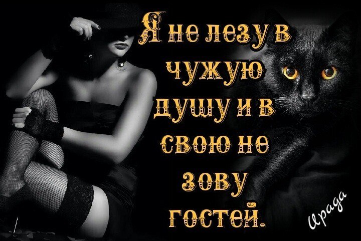    ,   ,    ,   .     -  ,  ...