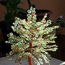 ���� 2017-2018 �� ������� ���� ��������߻