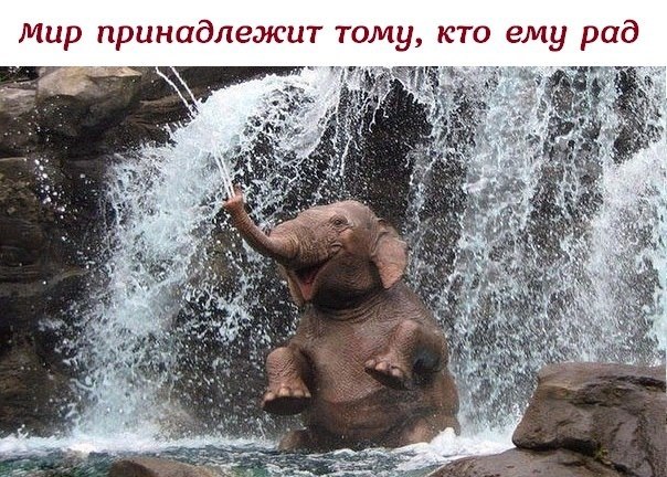   :D - 28  2018  02:33