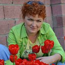  Svetlana,  -  29  2018    