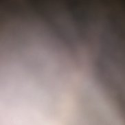 ������, 34 ����, �����������