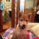 ���� �����, �����-���������, 56 ��� - ��������� 5 ������ 2018 � ������ ������ ��������