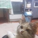 ���� ������, ���������, 45 ��� - ��������� 20 ������ 2017 � ������ ���� ����������