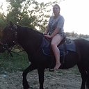  , --, 49  -  6  2018    