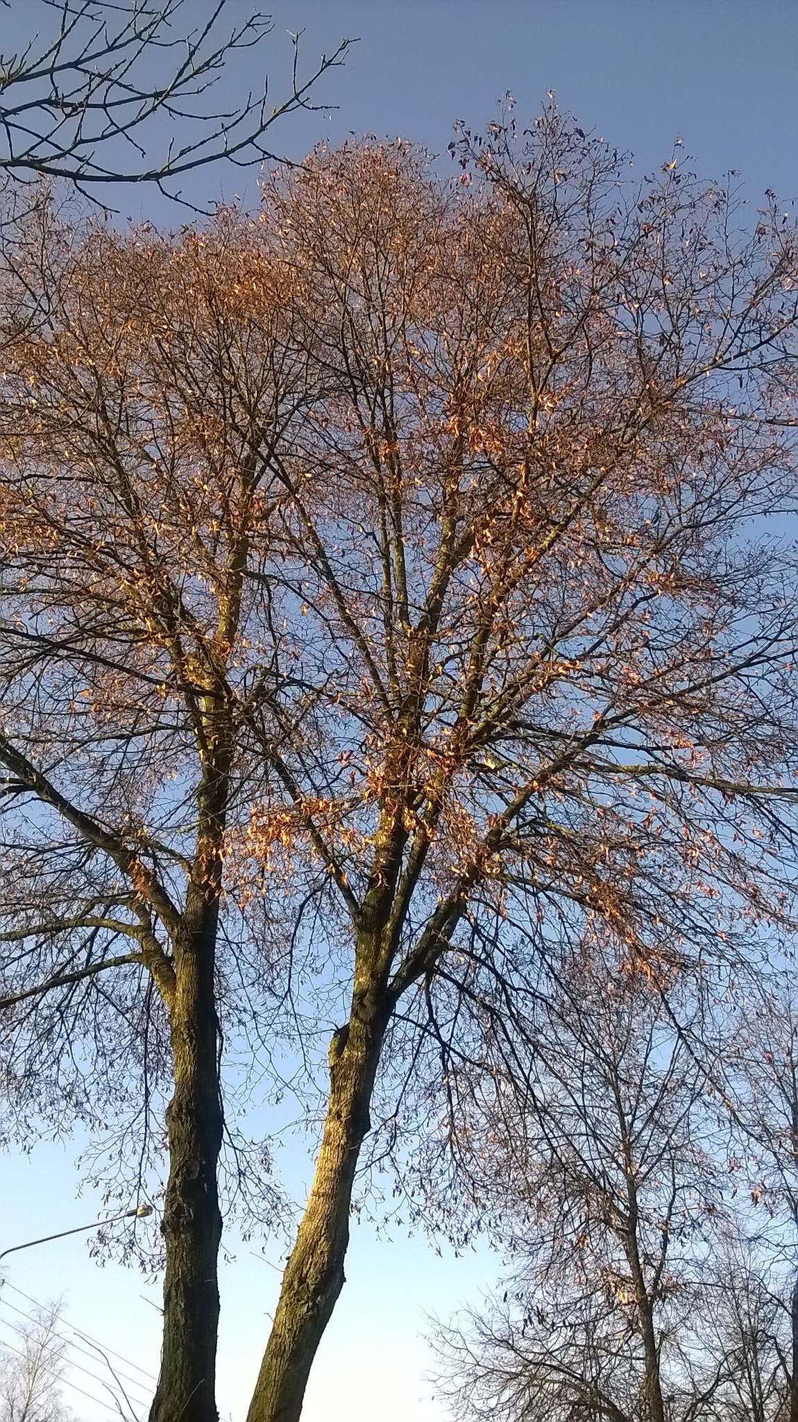 , !,   ,       ,  02.01.2018...  ... - 2