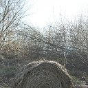 ���� Vadim, ���������, 50 ��� - ��������� 6 ������ 2018 � ������ �������