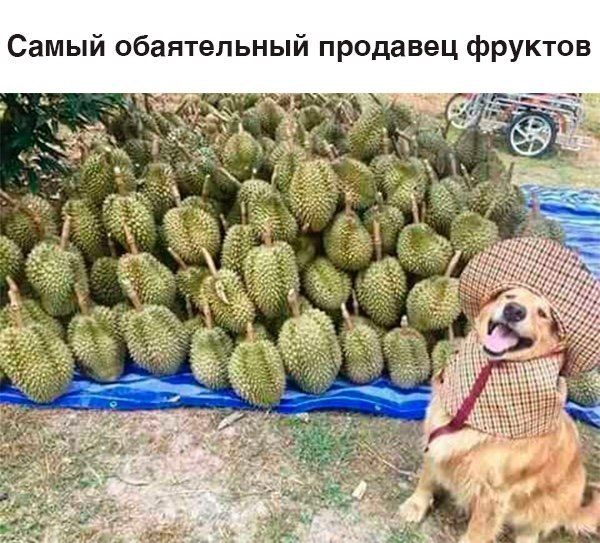 #@bon