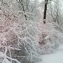 ���� �������, �����-���������, 55 ��� - ��������� 25 ����� 2018 � ������ ������ ��������