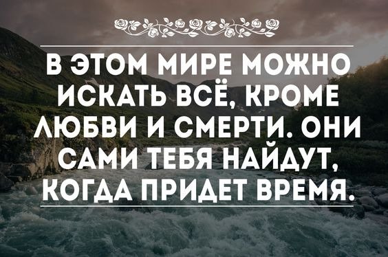    - 29  2017  03:39