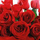 ���� Zita ***, �������, 51 ��� - ��������� 26 ������ 2018 � ������ ���� ����������