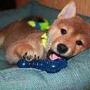 ���� �����, �����-���������, 56 ��� - ��������� 26 ������� 2017 � ������ ���� ����������