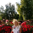 ���� ����, ������, 52 ���� - ��������� 20 ��� 2018