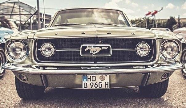 Mustangs - 2