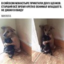 ���� ������ ����������, ������, 48 ��� - ��������� 23 ����� 2018 � ������ ���� ����������