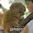 ���� Igor, ��������� - ��������� 18 ������ 2018 � ������ ���� ����������