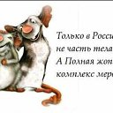  ,   -  17  2018    