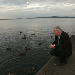 ����, ������������, 62 ����