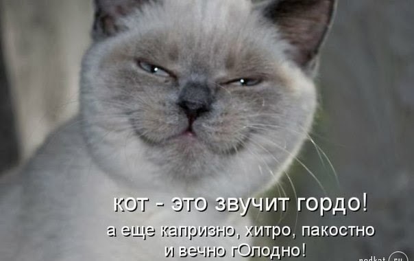 � ����� �����! - 21 ������ 2017 � 07:16