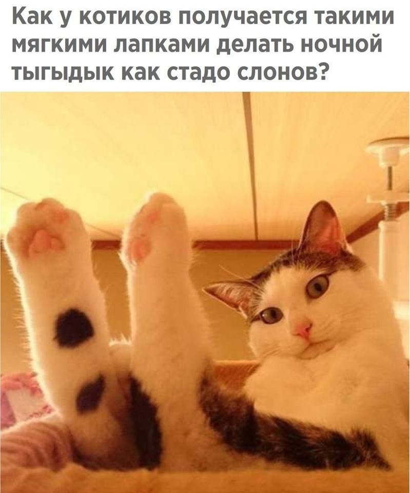 )))